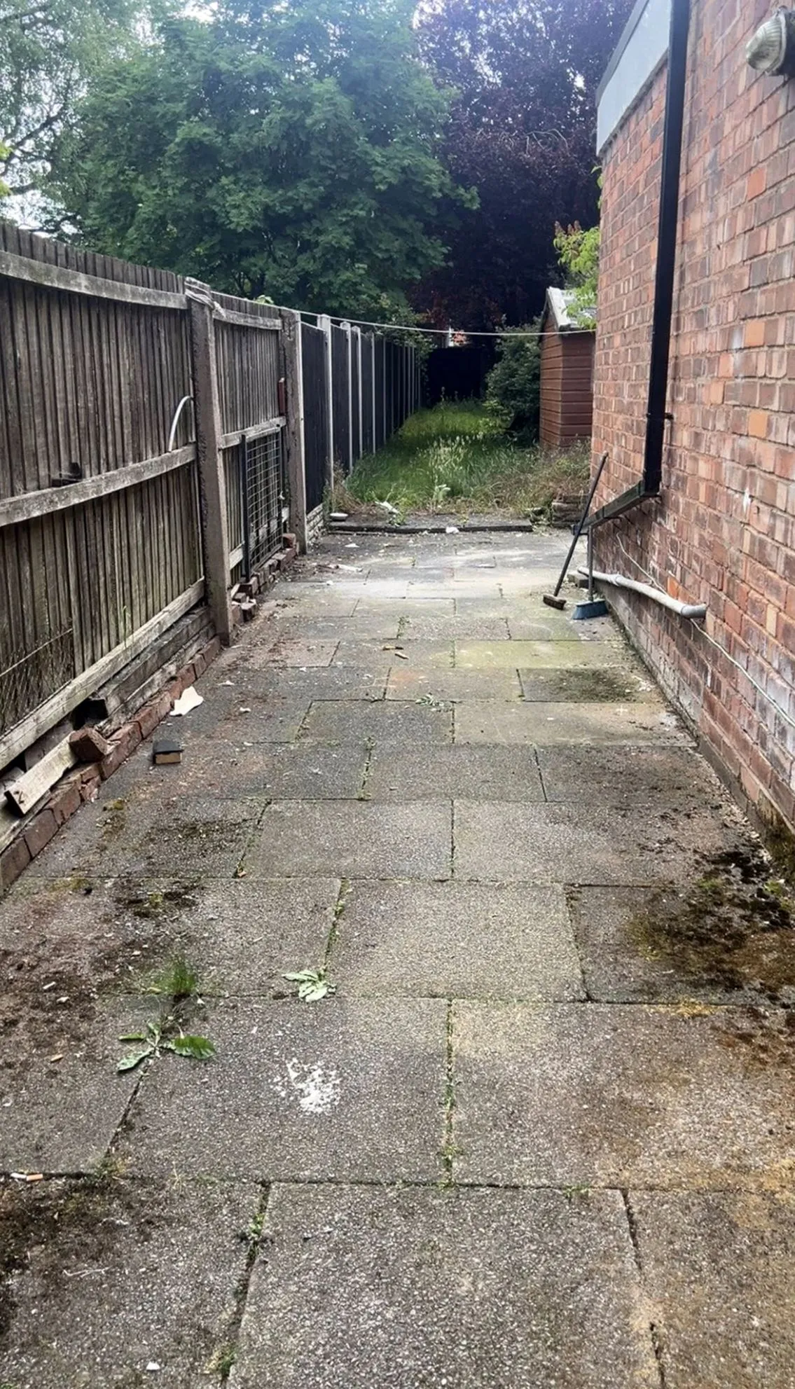 Yard debris removal Phoenix